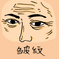 皱纹 wrinkle
