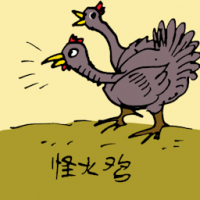 怪火鸡 two headed turkey