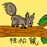 怪松鼠 weird squirrel