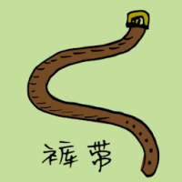 裤带,腰带 belt