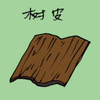 树皮 tree bark