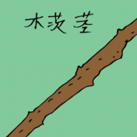 木茨茎 wood stick