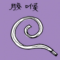 胶喉 rubber hose
