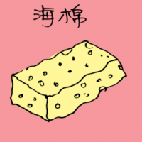 海棉 sponge