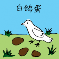 鸽子蛋 pigeon eggs
