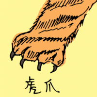 虎爪 tiger paw