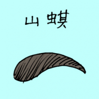 山蜞 leech