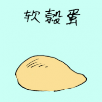 软壳蛋 soft shell egg
