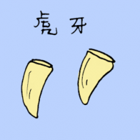 虎牙 tiger's tooth