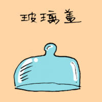 玻璃盖 glass cover