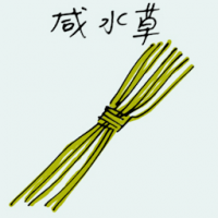 咸水草 aquatic plant