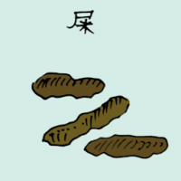 屎,粪 manure