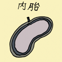 内胎 tyre tube