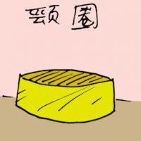 颈圈 yellow collars
