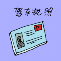 驾车执照 driving license