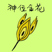 神位金花 golden flower