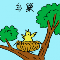 鸟巢 bird nest