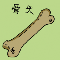 骨头 bone
