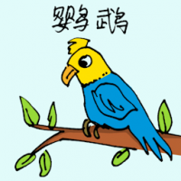 鹦鹉 parrot