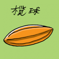 橄球 rugby ball