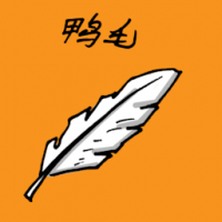 鸭毛 duck feathers