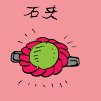 石夹 stone clip