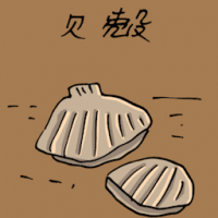 贝壳 shell