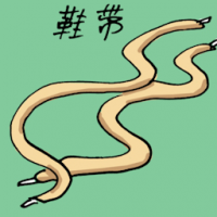 鞋带 shoe lace