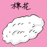 棉花 cotton