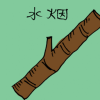 水烟 wooden hookah