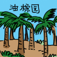 油棕园 oil palm plantation
