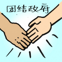 团结政府 unity government