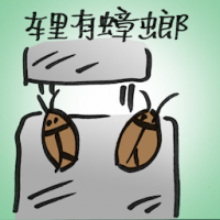 车里有蟑螂 cockroach in the car