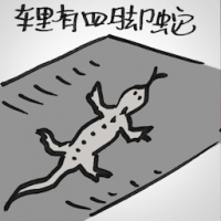 车里有四脚蛇 lizard in the car