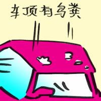 车顶有鸟粪 guano on car roof