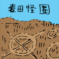 麦田怪圈 crop circles