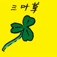 三叶草 clover