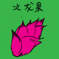 火龙果 pitaya