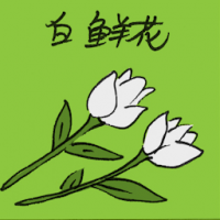 白鲜花 white color flower