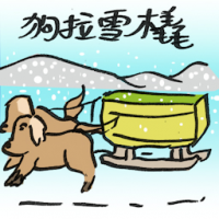 狗拉雪橇 dog sled