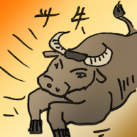 斗牛 bullfighting