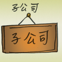 子公司 subsidiary