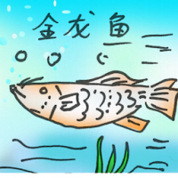 金龙鱼 arowana