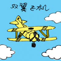 双翼飞机 biplane