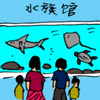 水族馆 aquarium