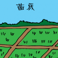 苗床 seedbed / seedling bed