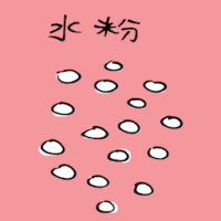 水粉 face powder