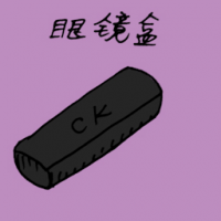 眼镜盒 spectacles case