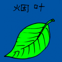 烟叶 tobacco