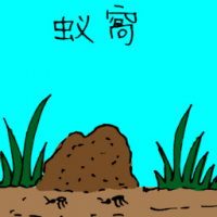 蚁窝 ant nest